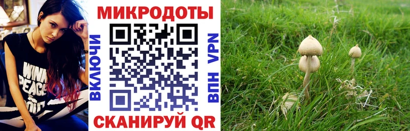 что такое   Певек  Псилоцибиновые грибы прущие грибы 
